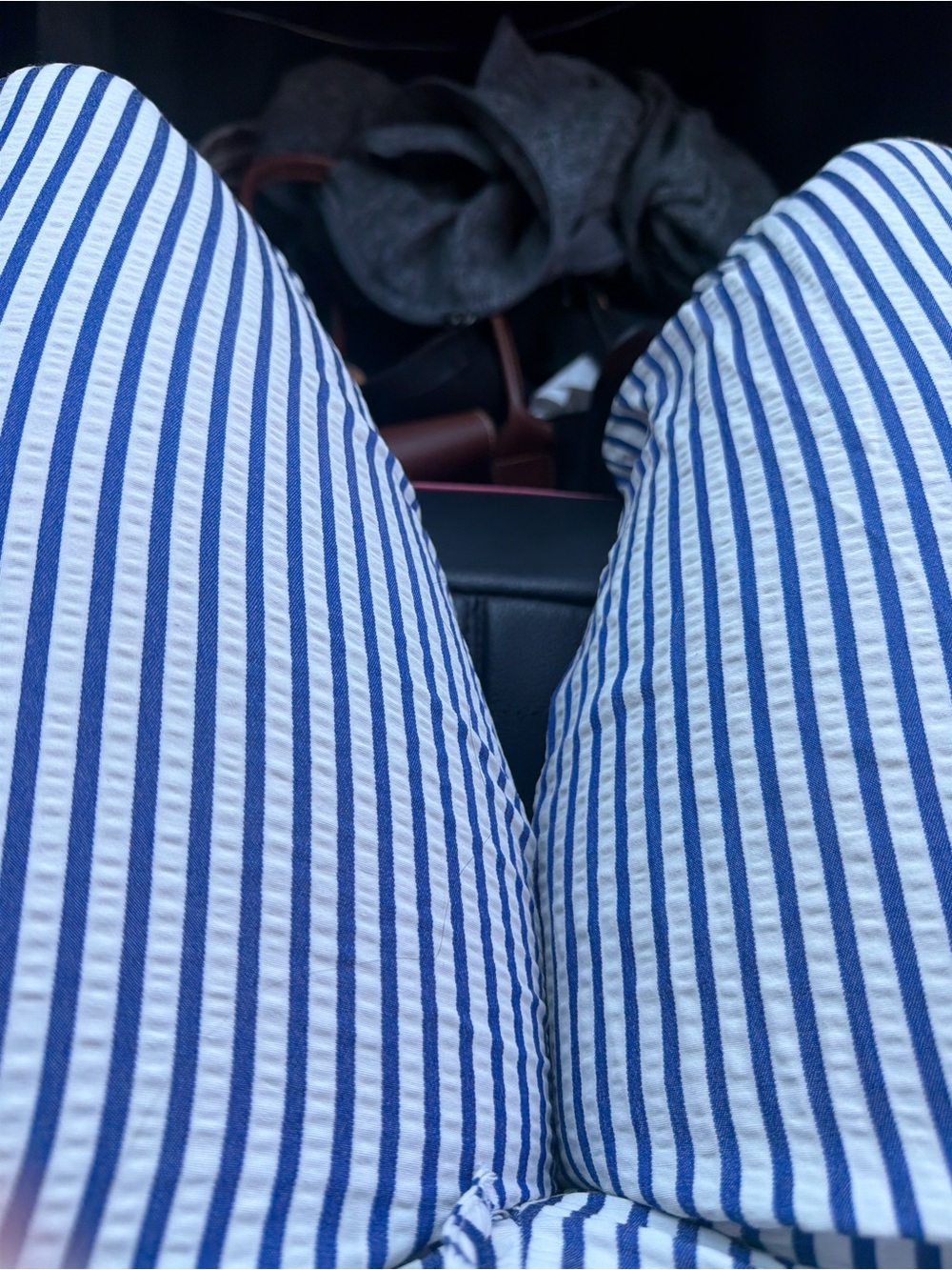 Blue and White Vertical Striped Pants